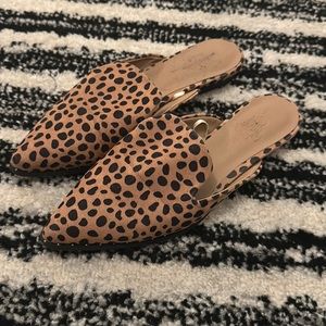 Slip on pointed flats